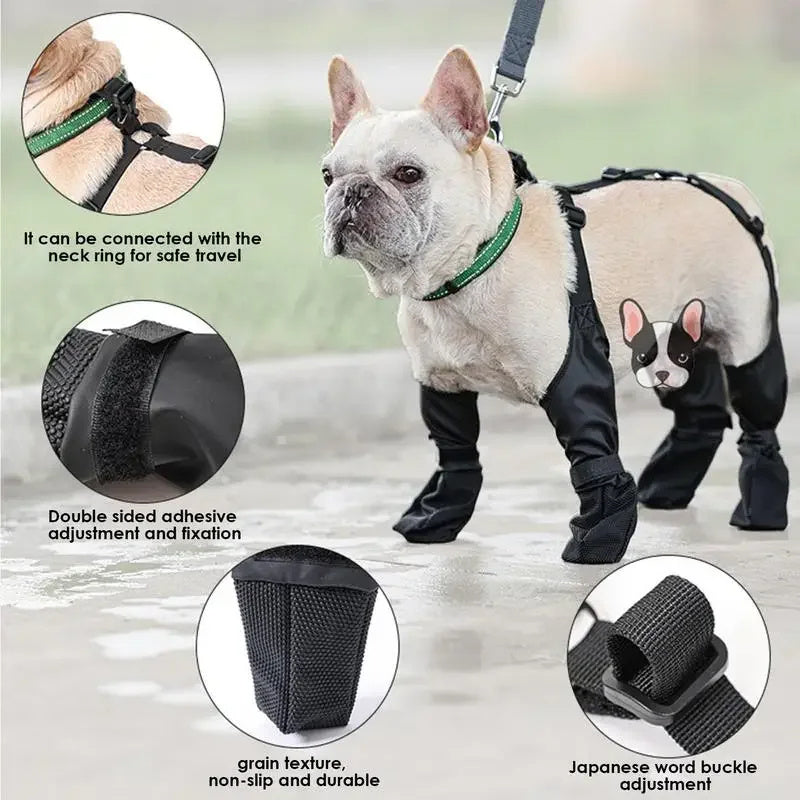 Grípr — Chaussures Antidérapantes pour Chien
