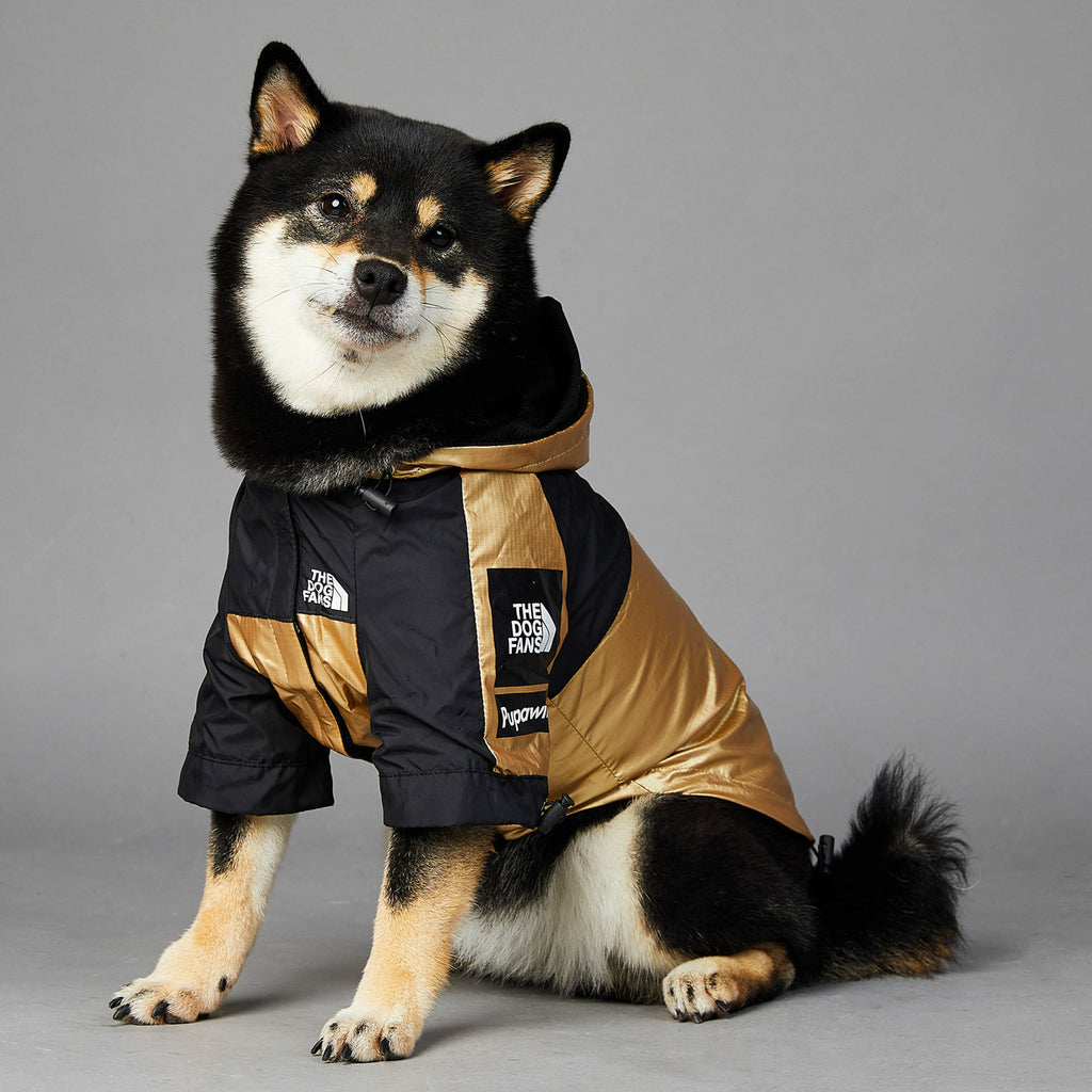 Austr — Imperméable Doré pour Grand Chien