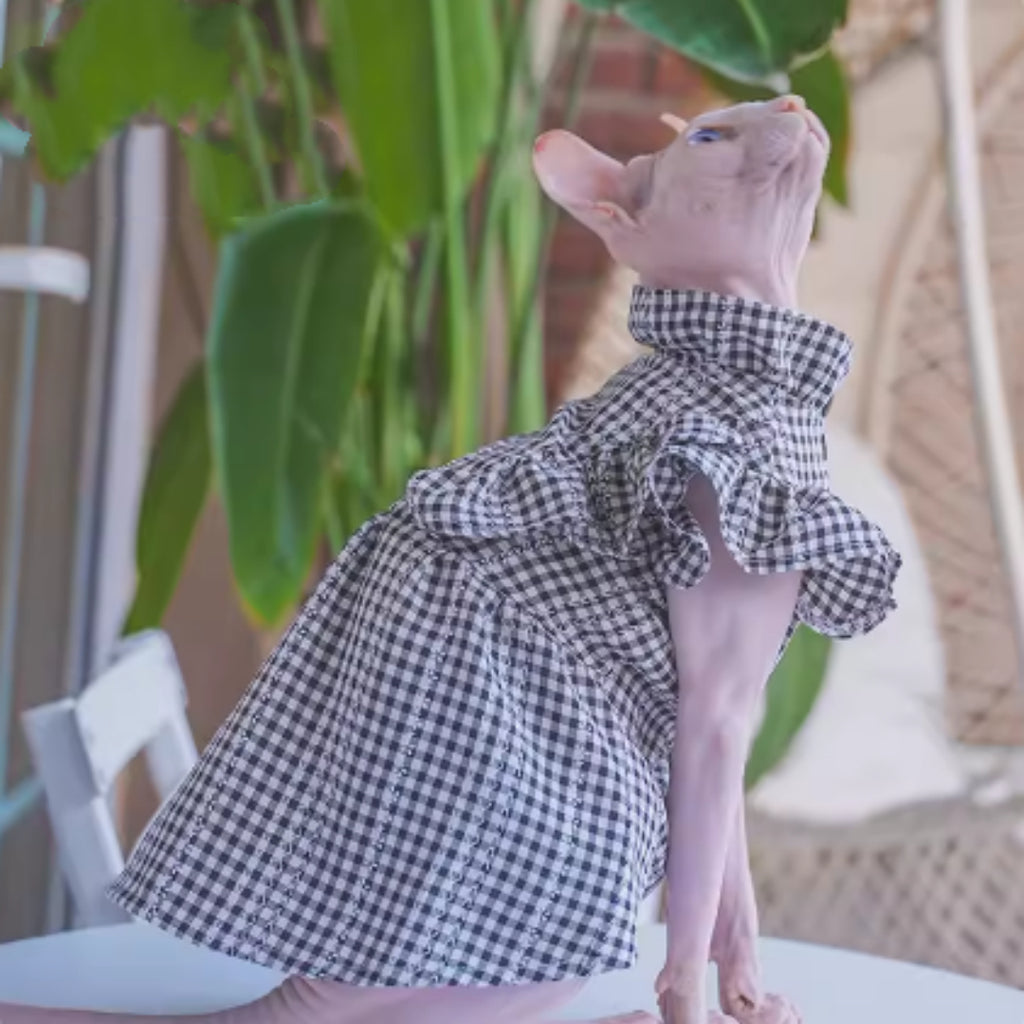 Sól — Robe d'Été Respirante pour Chaton