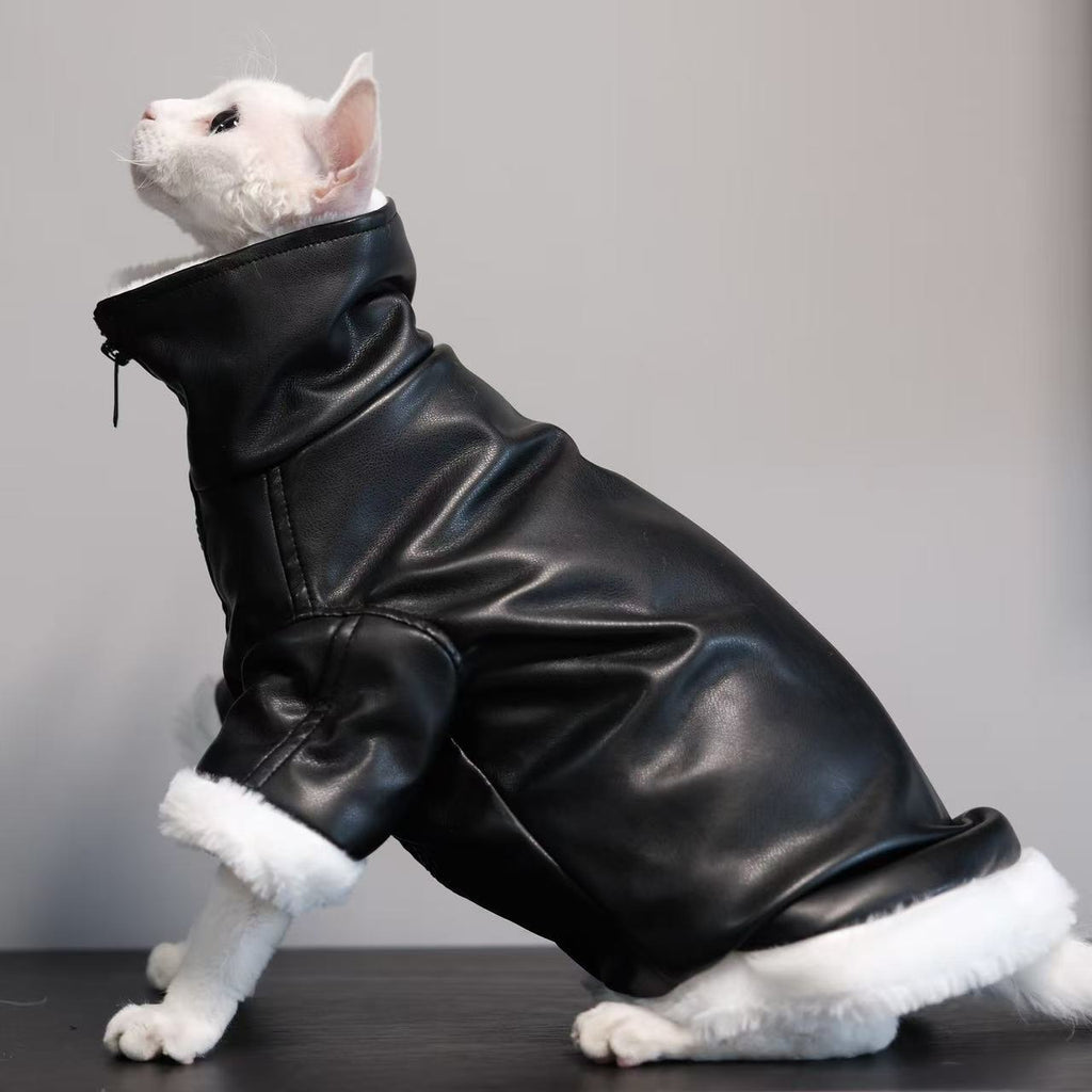 Skadi — Manteau Viking pour Chat Sphynx
